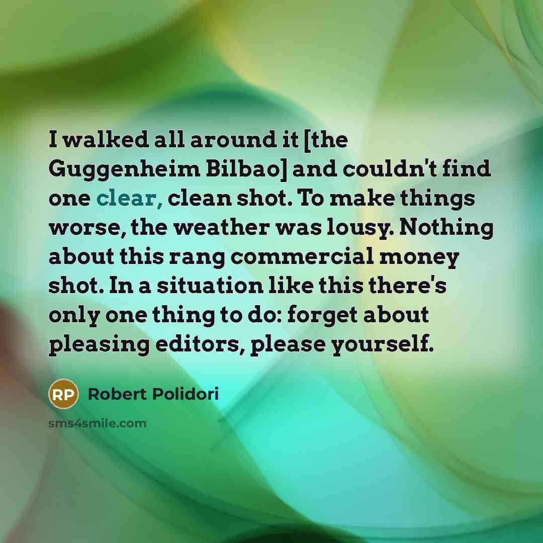 “I walked all around it [the Guggenheim Bilbao] and couldn't…” quote by Robert Polidori