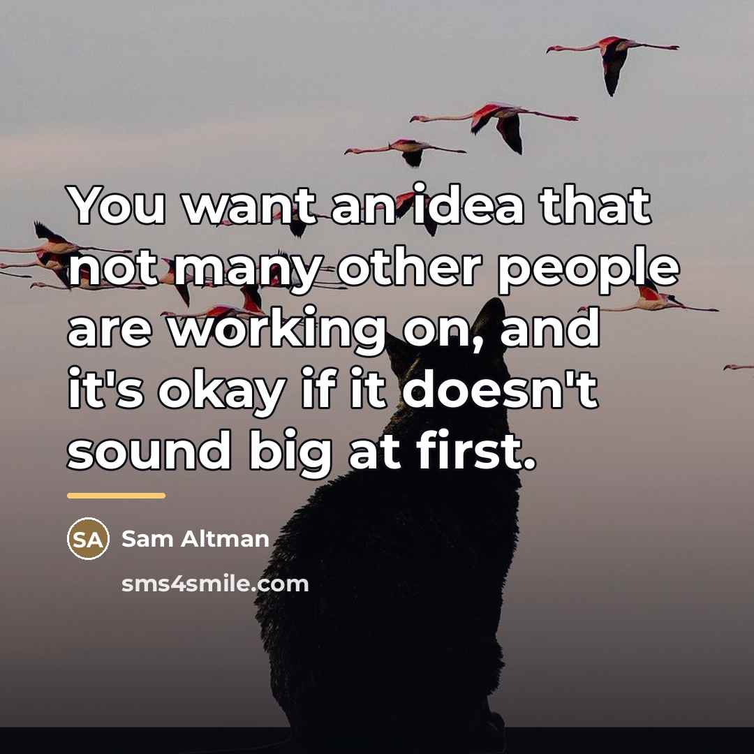 “You want an idea that not many other people are…” quote by Sam Altman