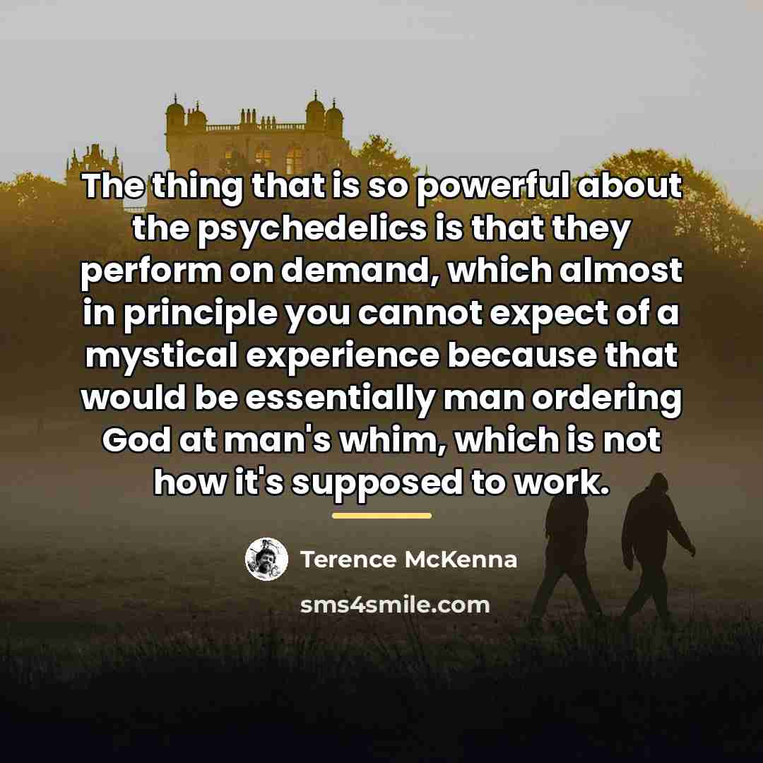 “The thing that is so powerful about the psychedelics is…” quote by Terence McKenna