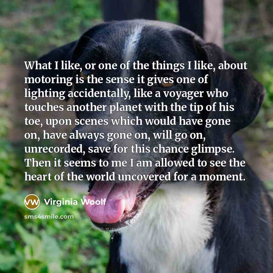 “What I like, or one of the things I like,…” quote by Virginia Woolf