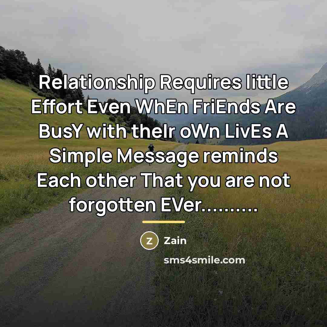 “Relationship Requires little Effort Even WhEn FriEnds Are BusY with…” quote by Zain