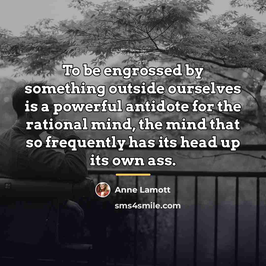 “To be engrossed by something outside ourselves is a powerful…” quote by Anne Lamott