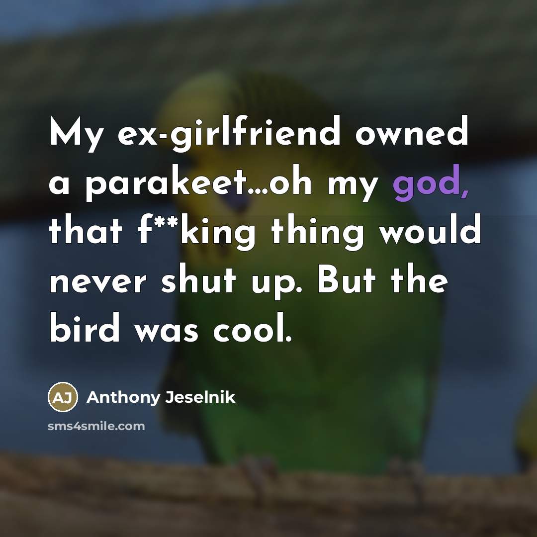 “My ex-girlfriend owned a parakeet…oh my god, that f**king thing…” quote by Anthony Jeselnik