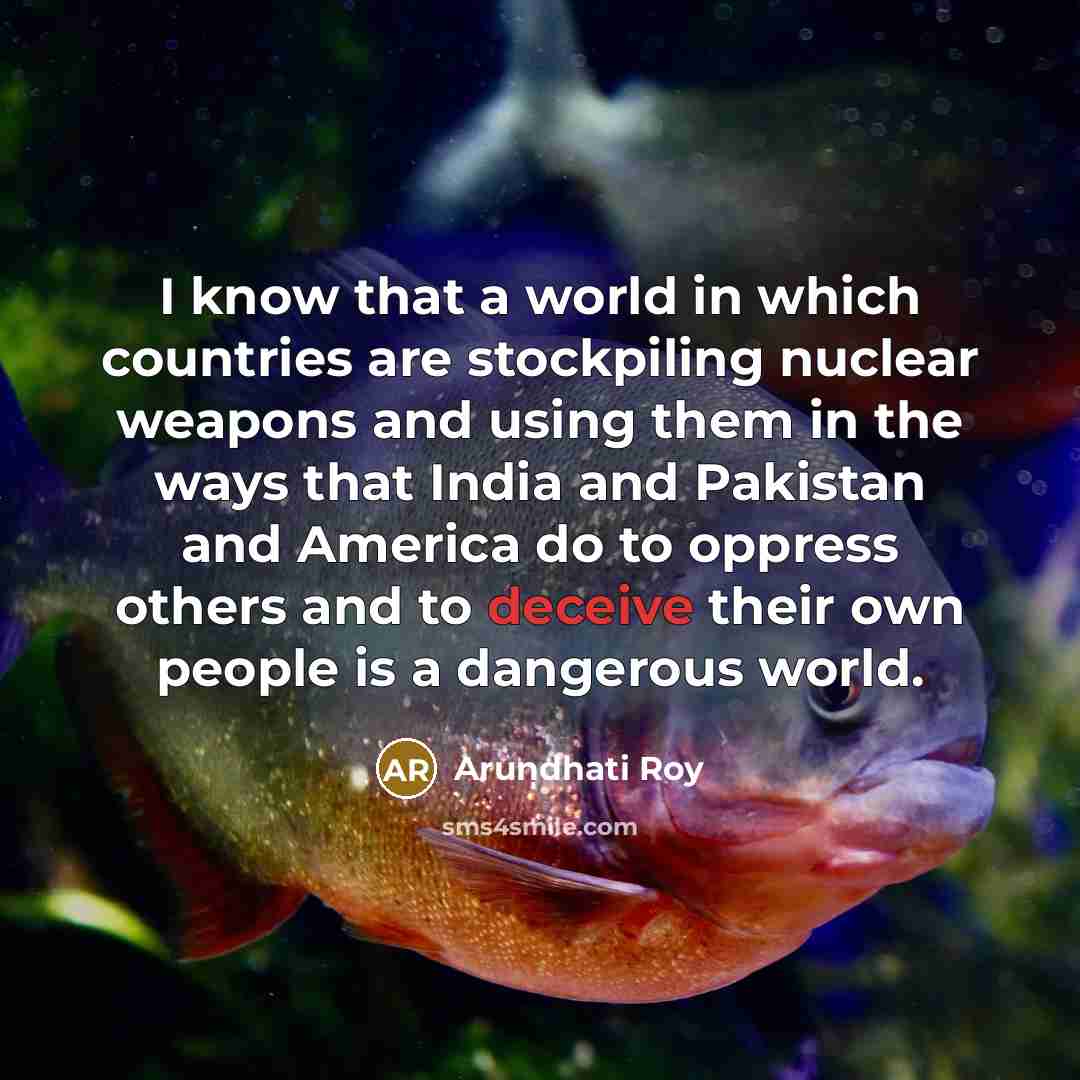 “I know that a world in which countries are stockpiling…” quote by Arundhati Roy