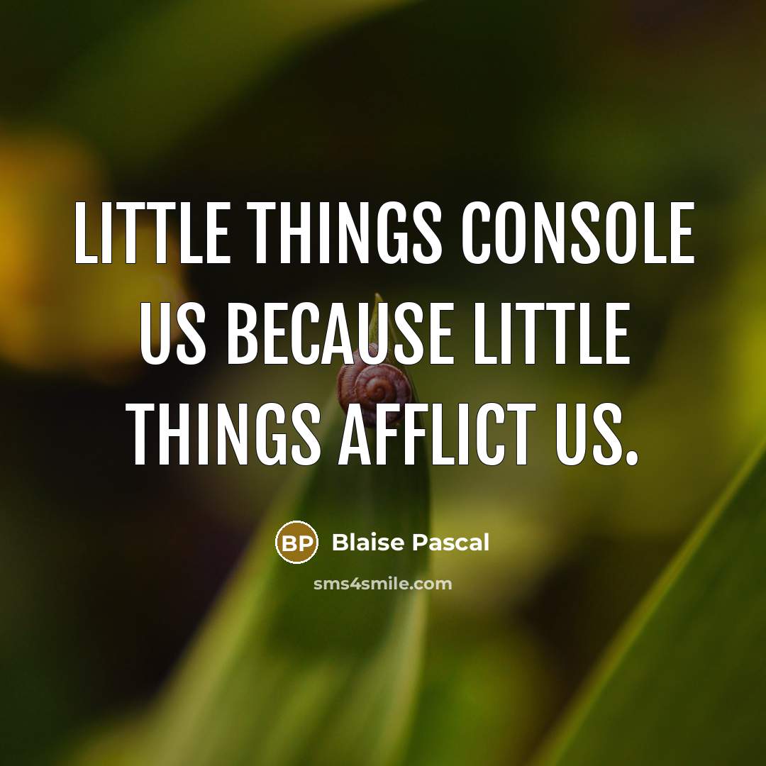 “Little things console us because little things afflict us.” quote by Blaise Pascal