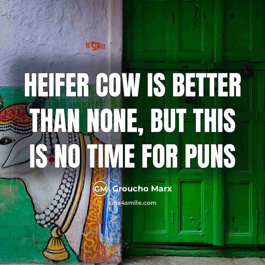 “Heifer cow is better than none, but this is no…” quote by Groucho Marx