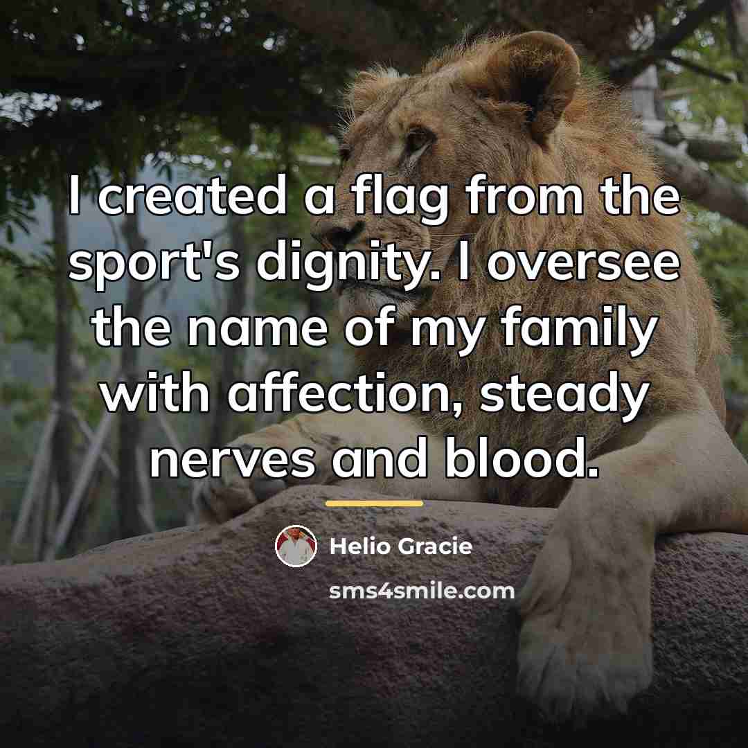 “I created a flag from the sport's dignity. I oversee…” quote by Helio Gracie
