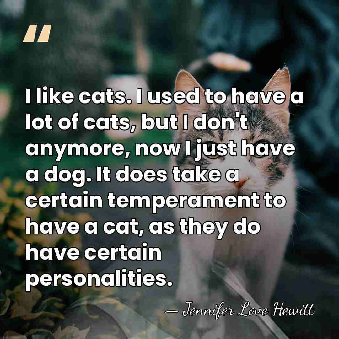 I like cats. I used to have a lot of cats, but&hellip; - Jennifer Love Hewitt