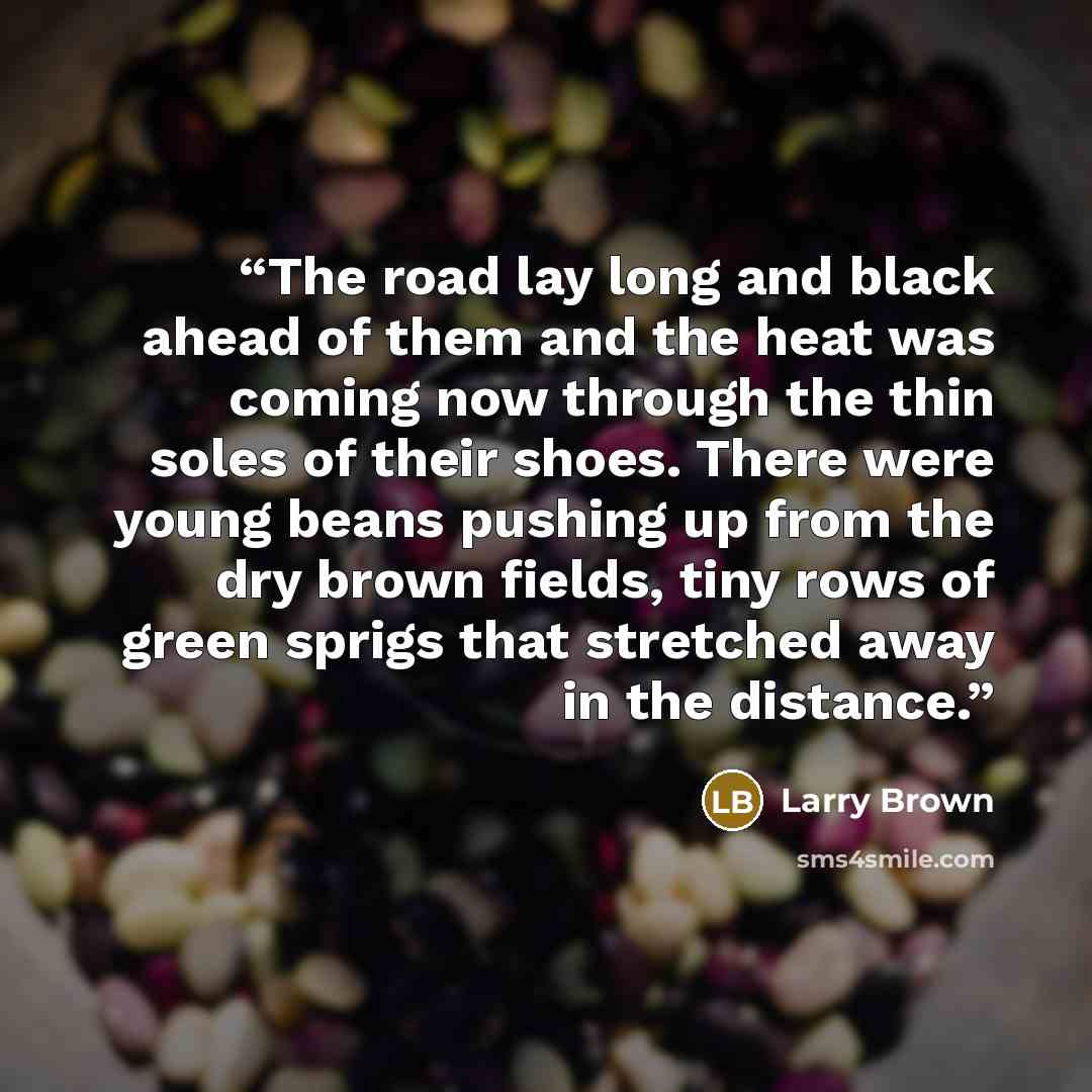 “The road lay long and black ahead of them and the heat was coming now through the thin soles of their shoes. There were young beans pushing up from the dry brown fields, tiny rows of green sprigs that stretched away in the distance.” quote by Larry Brown