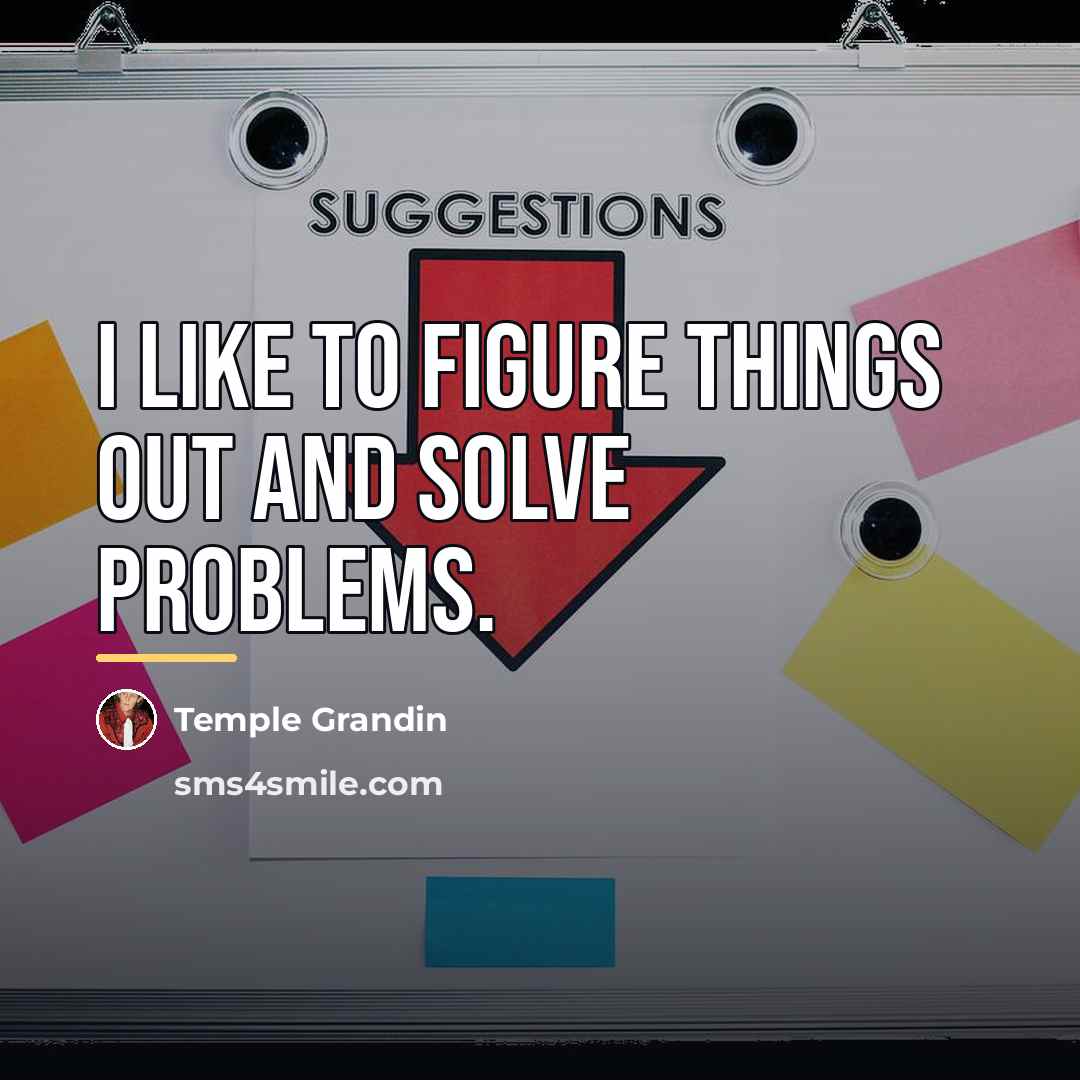 “I like to figure things out and solve problems.…” quote by Temple Grandin