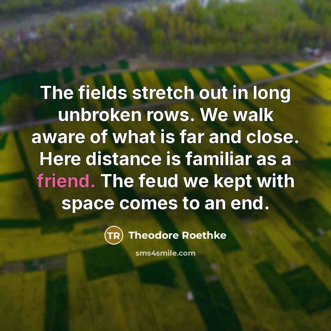 “The fields stretch out in long unbroken rows. We walk…” quote by Theodore Roethke