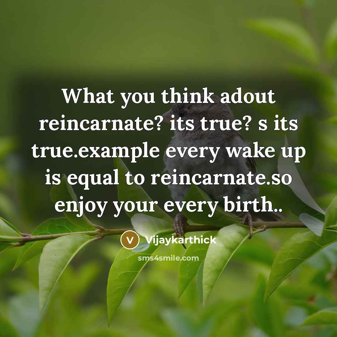 “What you think adout reincarnate? its true? s its true.example every wake up is equal to reincarnate.so enjoy your every birth..” quote by Vijaykarthick