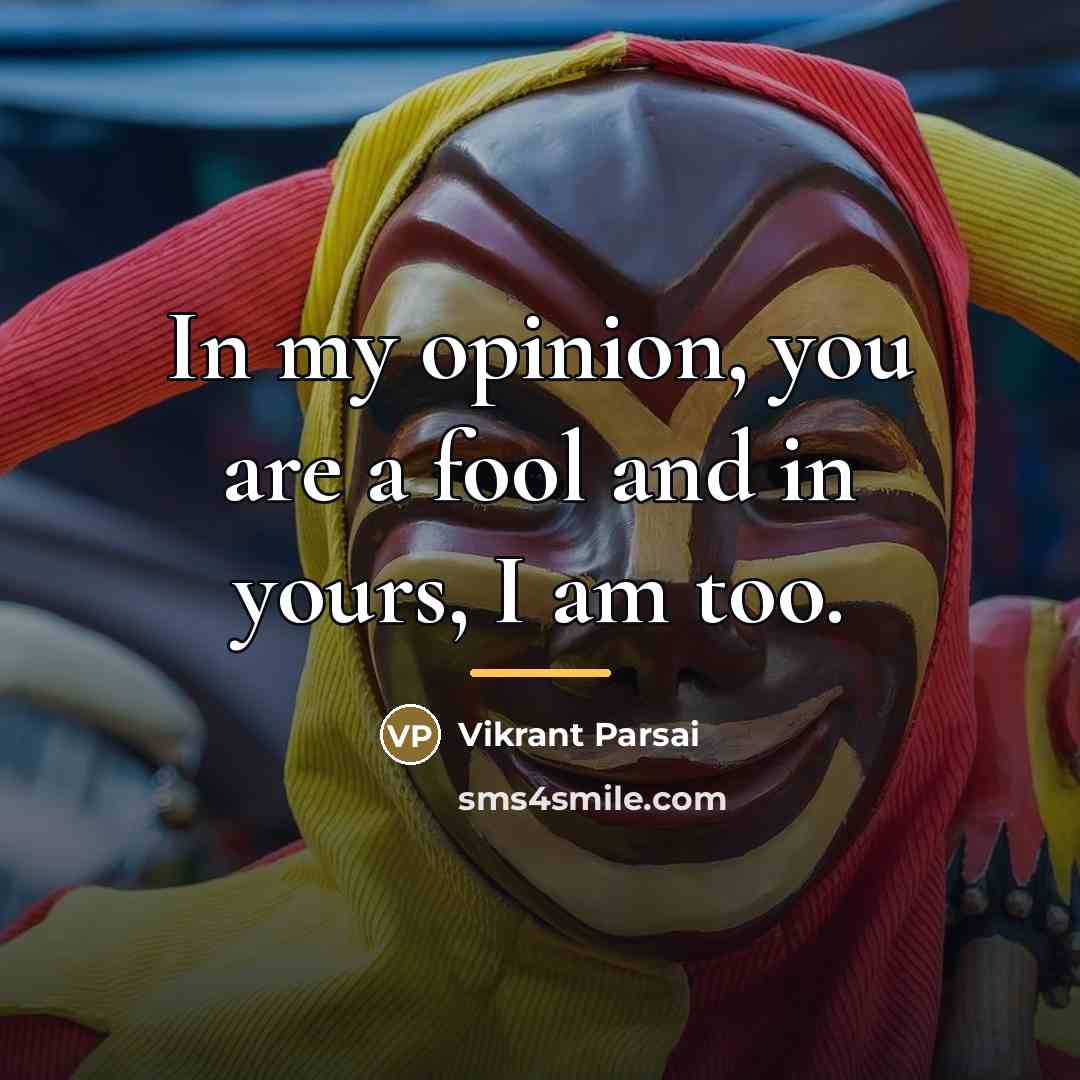 “In my opinion, you are a fool and in yours,…” quote by Vikrant Parsai