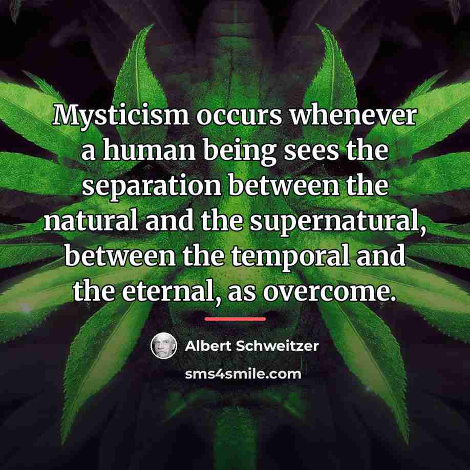 “Mysticism occurs whenever a human being sees the separation between…” quote by Albert Schweitzer