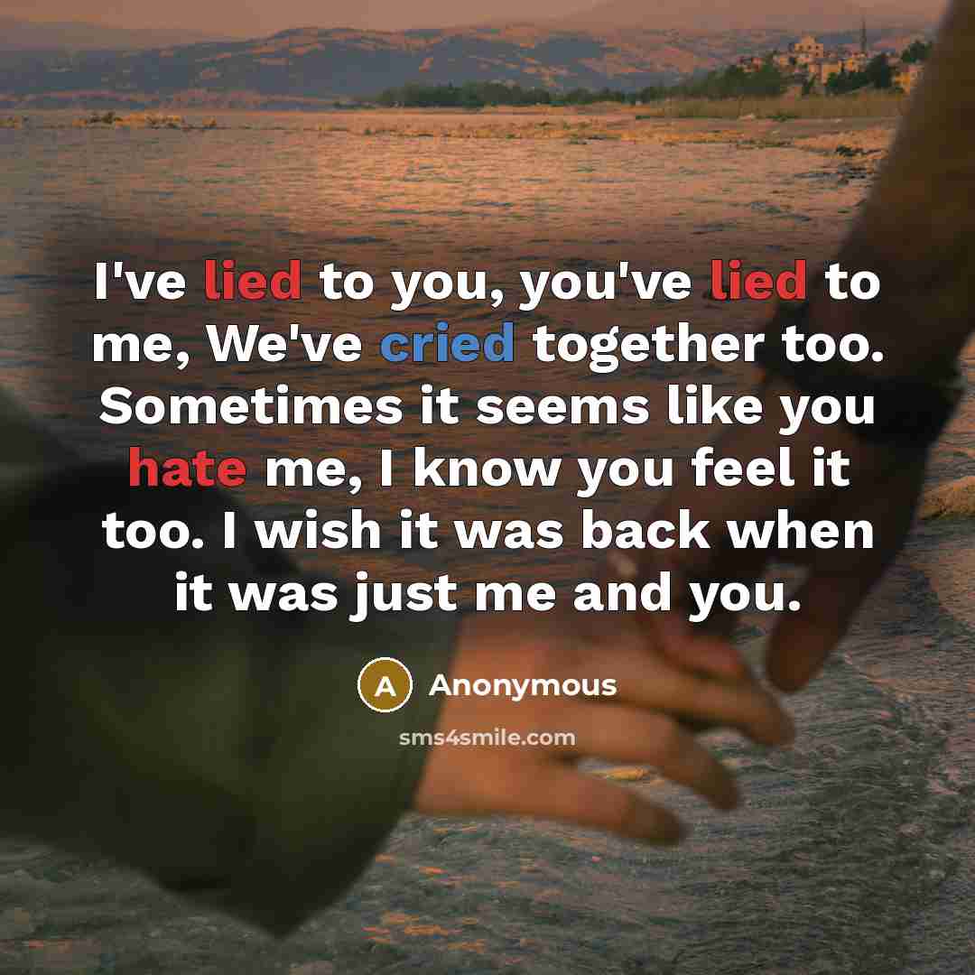 “I've lied to you, you've lied to me, We've cried together too. Sometimes it seems like you hate me, I know you feel it too. I wish it was back when it was just me and you.” quote by Anonymous