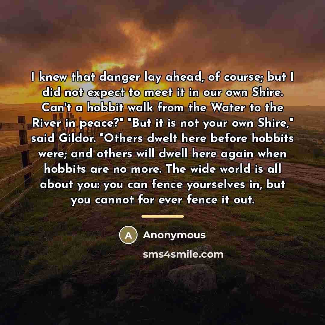 “I knew that danger lay ahead, of course; but I…” quote by Anonymous