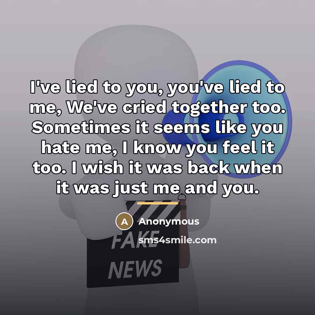 “I've lied to you, you've lied to me, We've cried…” quote by Anonymous