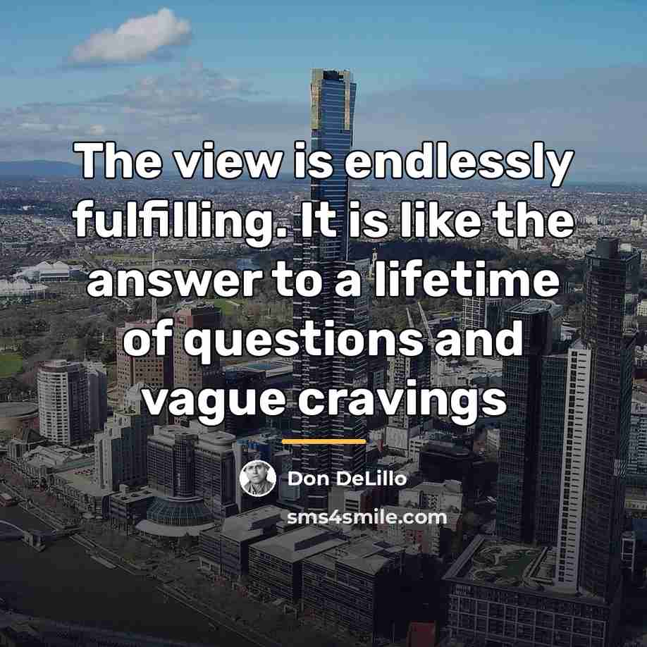 “The view is endlessly fulfilling. It is like the answer…” quote by Don DeLillo