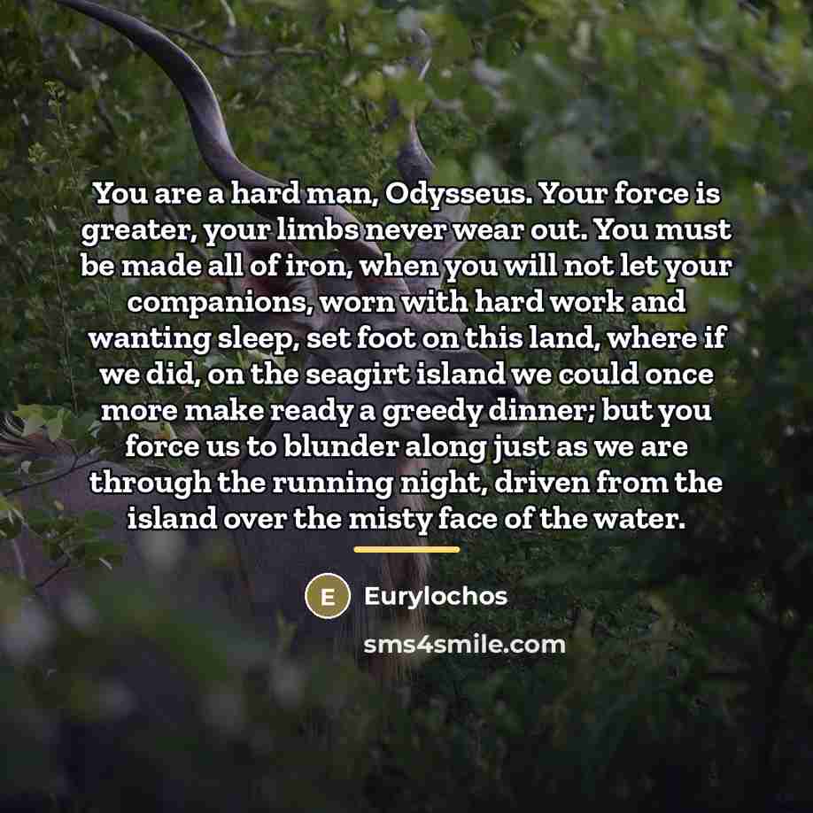 “You are a hard man, Odysseus. Your force is greater,…” quote by Eurylochos
