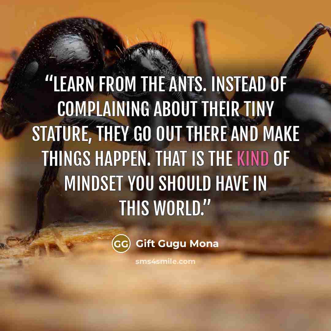 “Learn from the ants. Instead of complaining about their tiny stature, they go out there and make things happen. That is the kind of mindset you should have in this world.” quote by Gift Gugu Mona