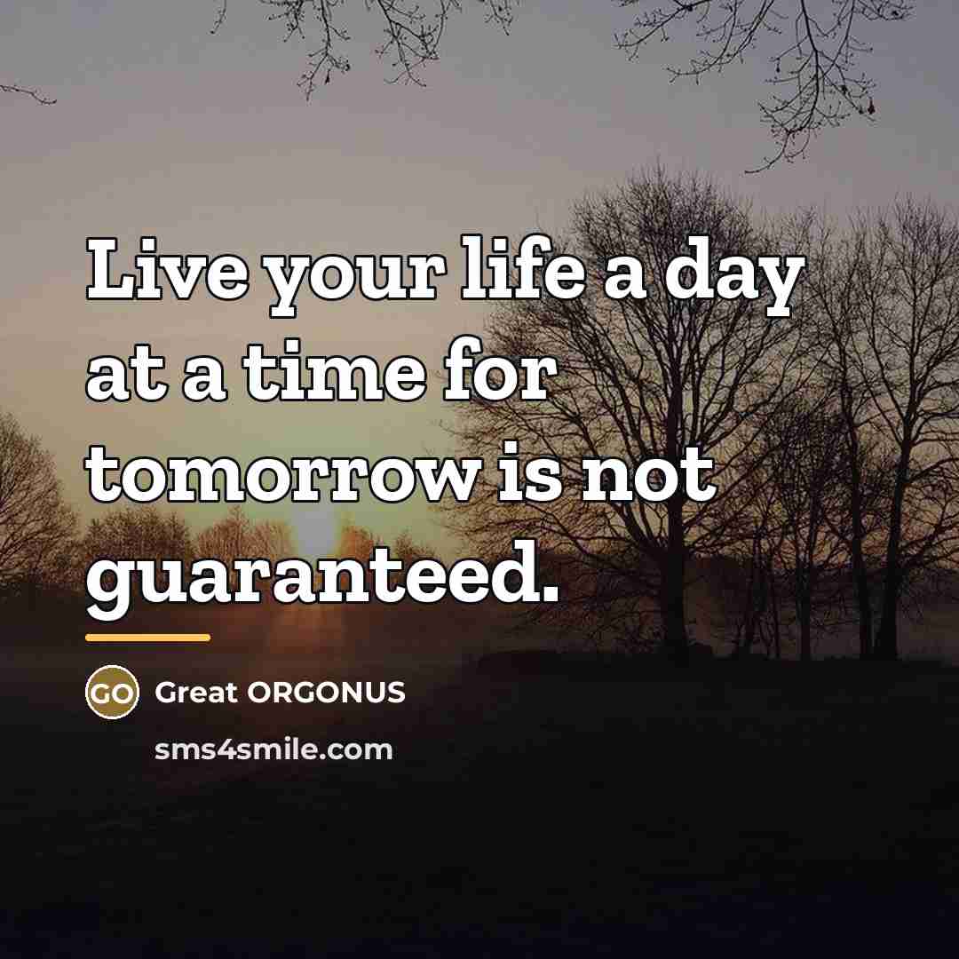 “Live your life a day at a time for tomorrow…” quote by Great ORGONUS