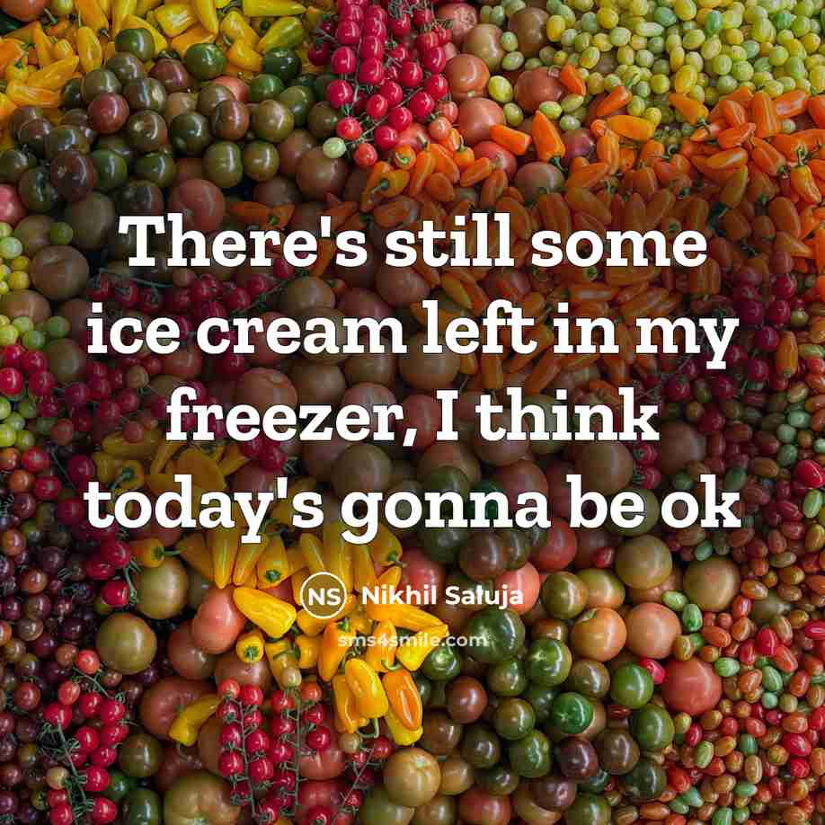 “There's still some ice cream left in my freezer, I think today's gonna be ok” quote by Nikhil Saluja