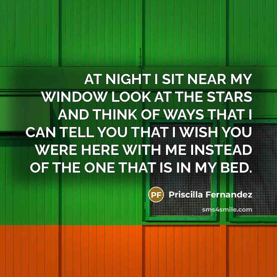 “AT NIGHT I SIT NEAR MY WINDOW LOOK AT THE…” quote by Priscilla Fernandez