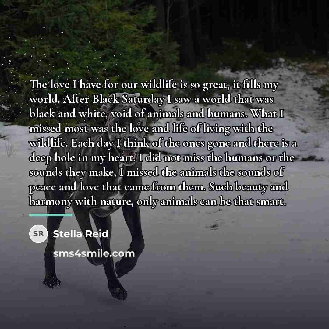 “The love I have for our wildlife is so great,…” quote by Stella Reid