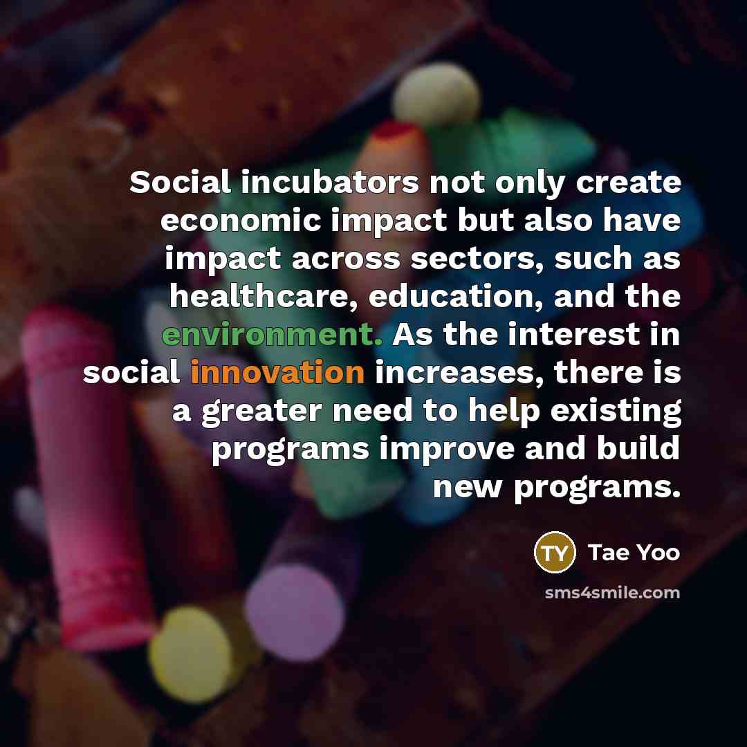 “Social incubators not only create economic impact but also have…” quote by Tae Yoo