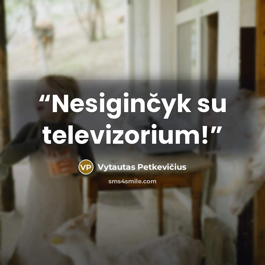 “Nesiginčyk su televizorium!” quote by Vytautas Petkevičius
