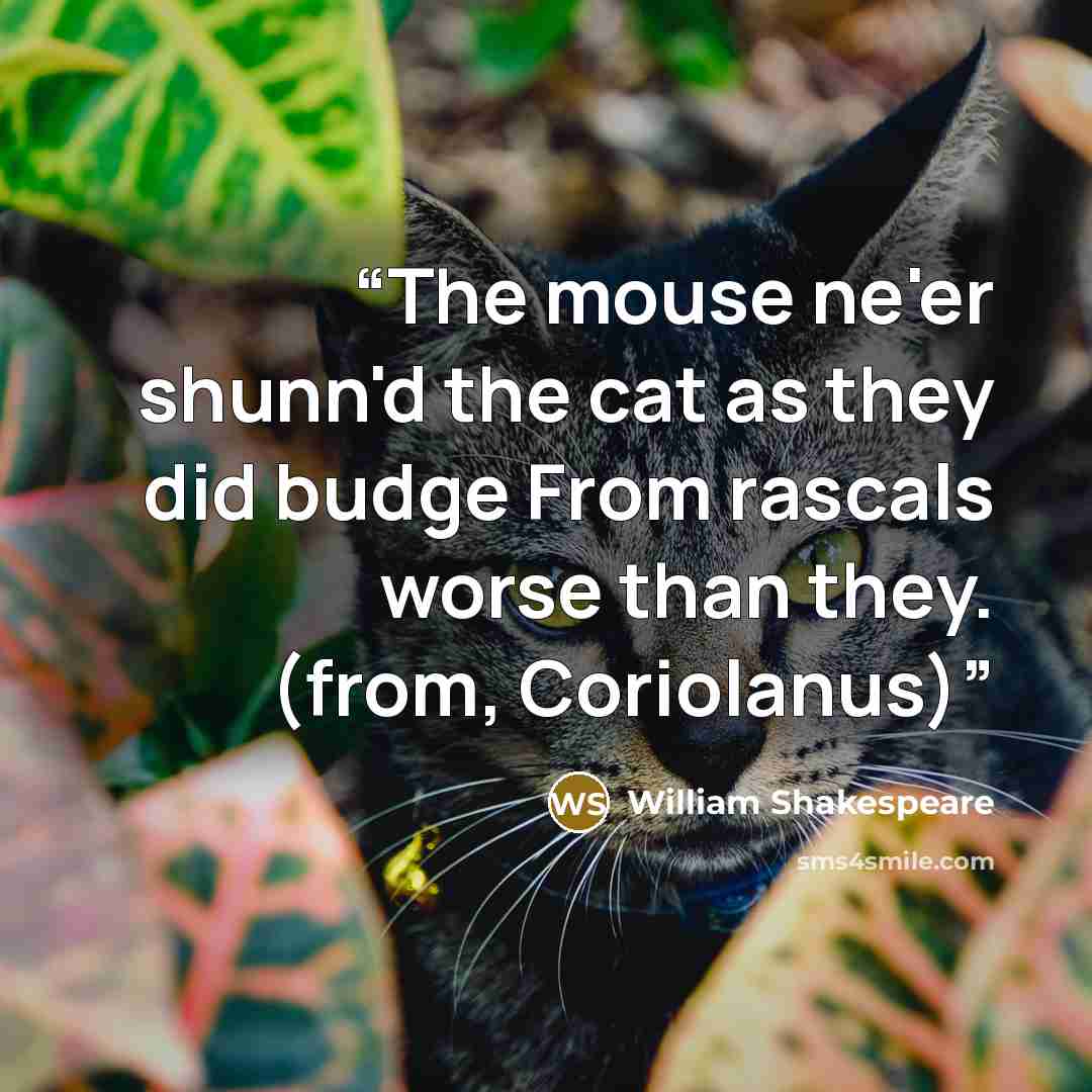 “The mouse ne'er shunn'd the cat as they did budge From rascals worse than they. (from, Coriolanus)” quote by William Shakespeare