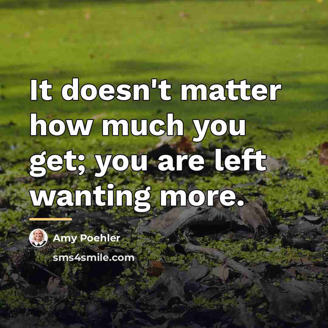 “It doesn't matter how much you get; you are left…” quote by Amy Poehler