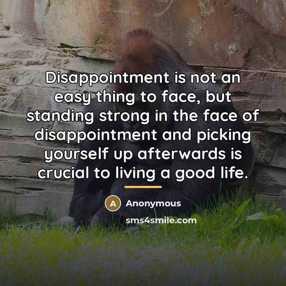 “Disappointment is not an easy thing to face, but standing…” quote by Anonymous