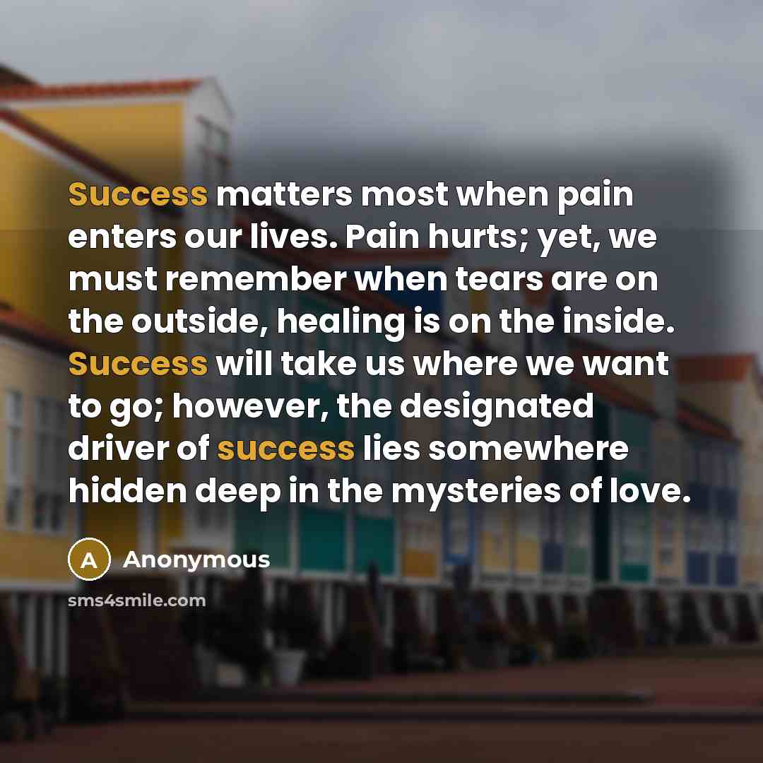 “Success matters most when pain enters our lives. Pain hurts;…” quote by Anonymous