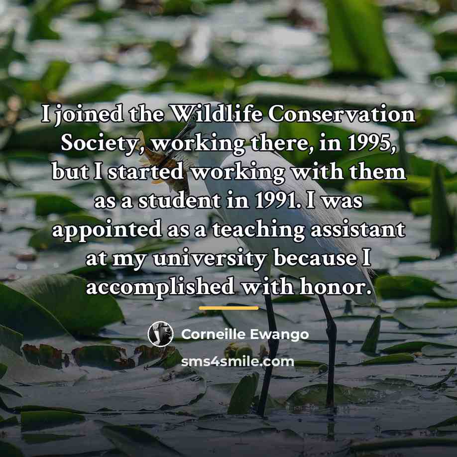 “I joined the Wildlife Conservation Society, working there, in 1995,…” quote by Corneille Ewango