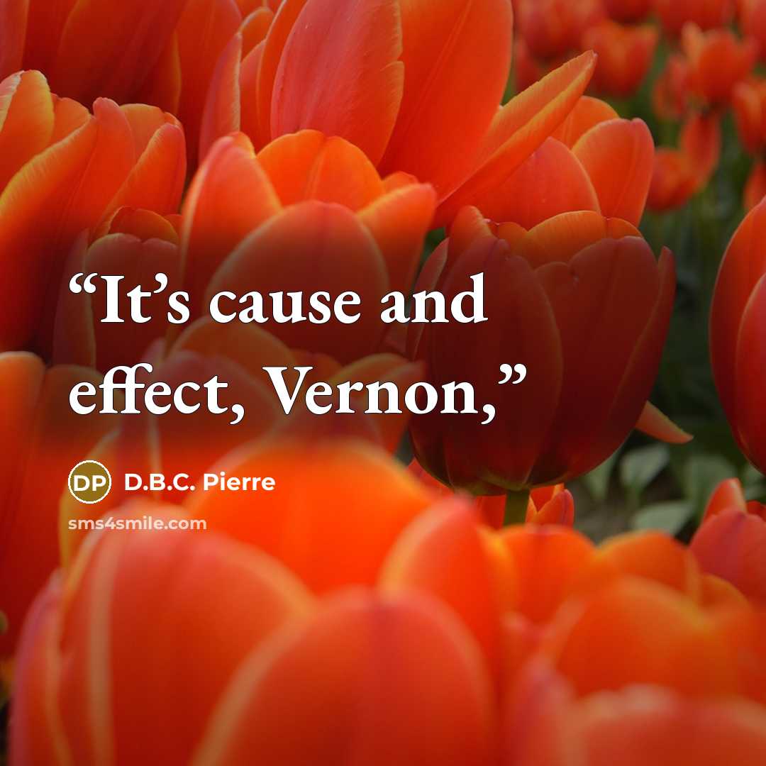 “It’s cause and effect, Vernon,” quote by D.B.C. Pierre