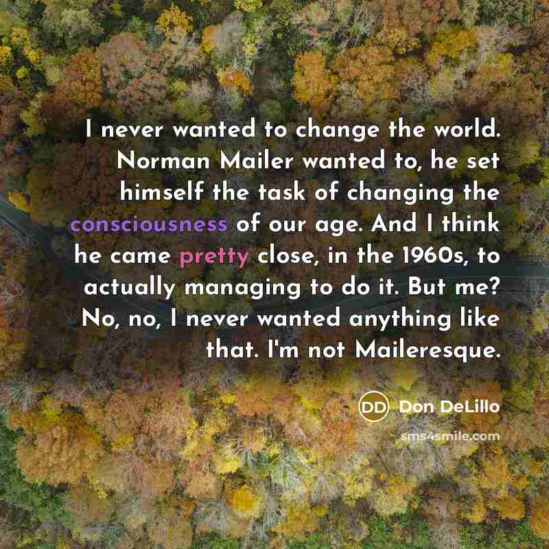 “I never wanted to change the world. Norman Mailer wanted…” quote by Don DeLillo