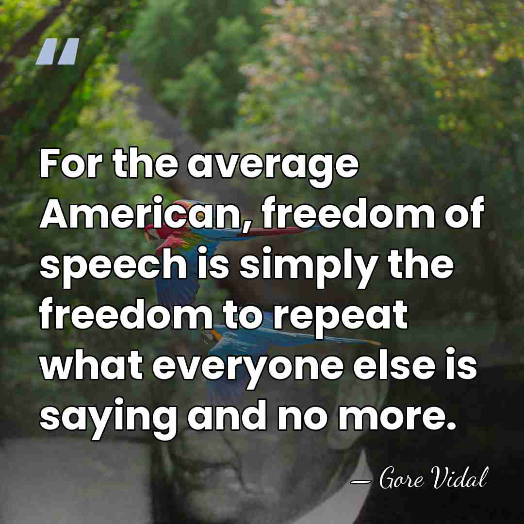 For the average American, freedom of speech is simply the freedom to&hellip; - Gore Vidal