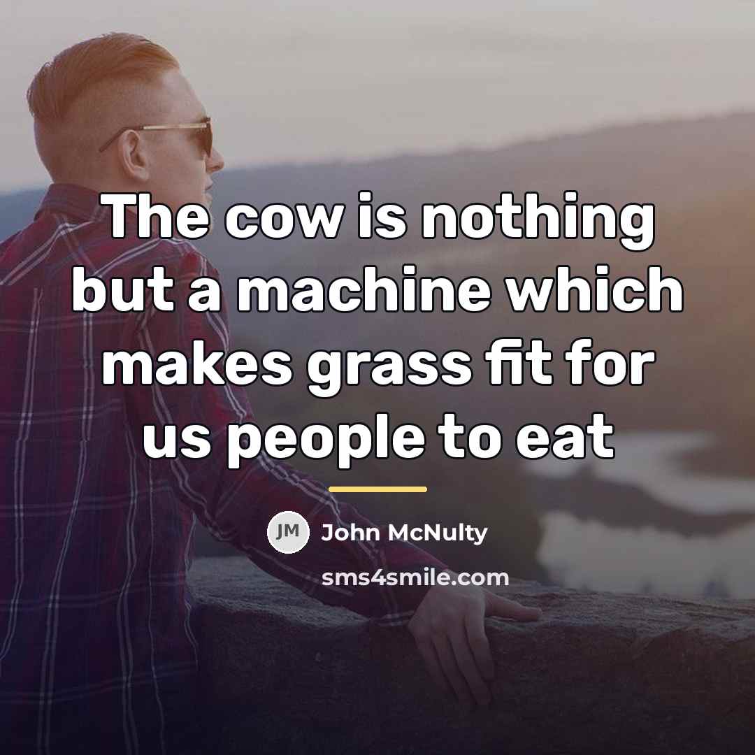 “The cow is nothing but a machine which makes grass…” quote by John McNulty