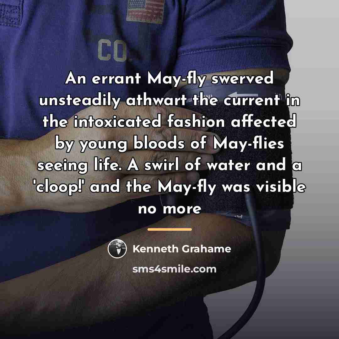 “An errant May-fly swerved unsteadily athwart the current in the…” quote by Kenneth Grahame