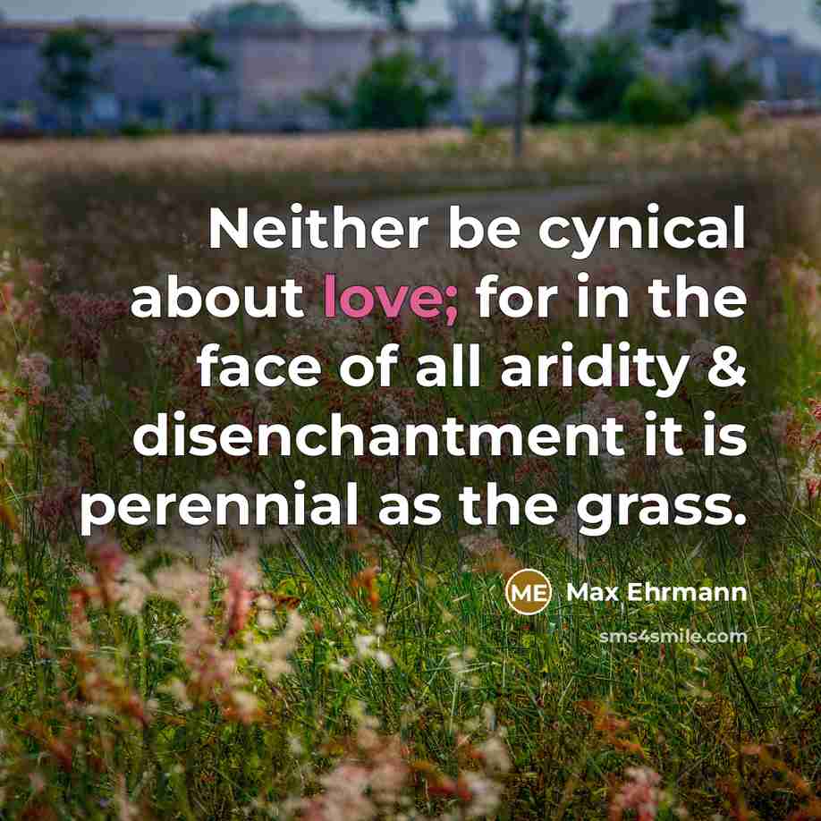 “Neither be cynical about love; for in the face of…” quote by Max Ehrmann