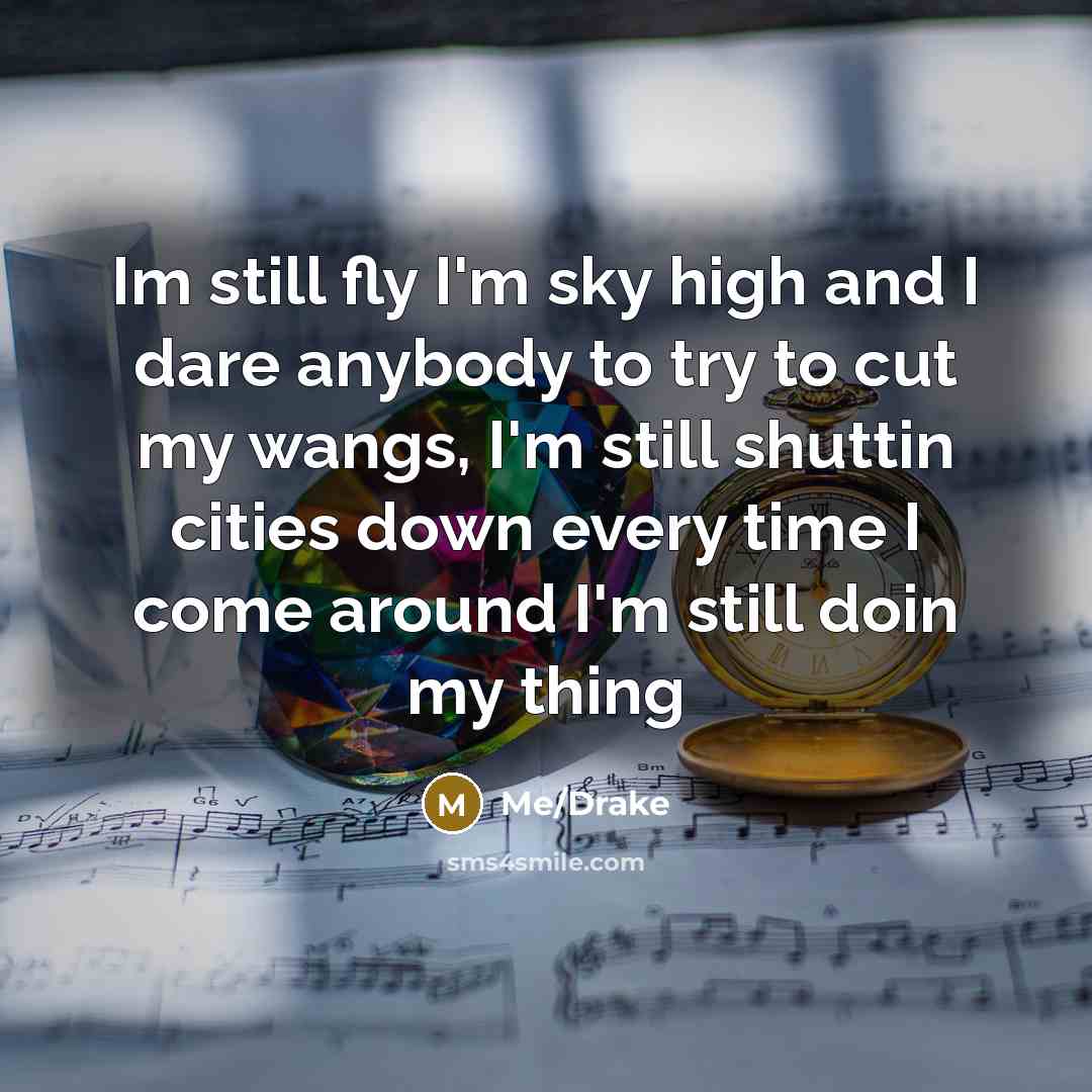 “Im still fly I'm sky high and I dare anybody to try to cut my wangs, I'm still shuttin cities down every time I come around I'm still doin my thing” quote by Me/Drake
