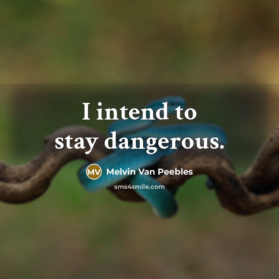 “I intend to stay dangerous.…” quote by Melvin Van Peebles