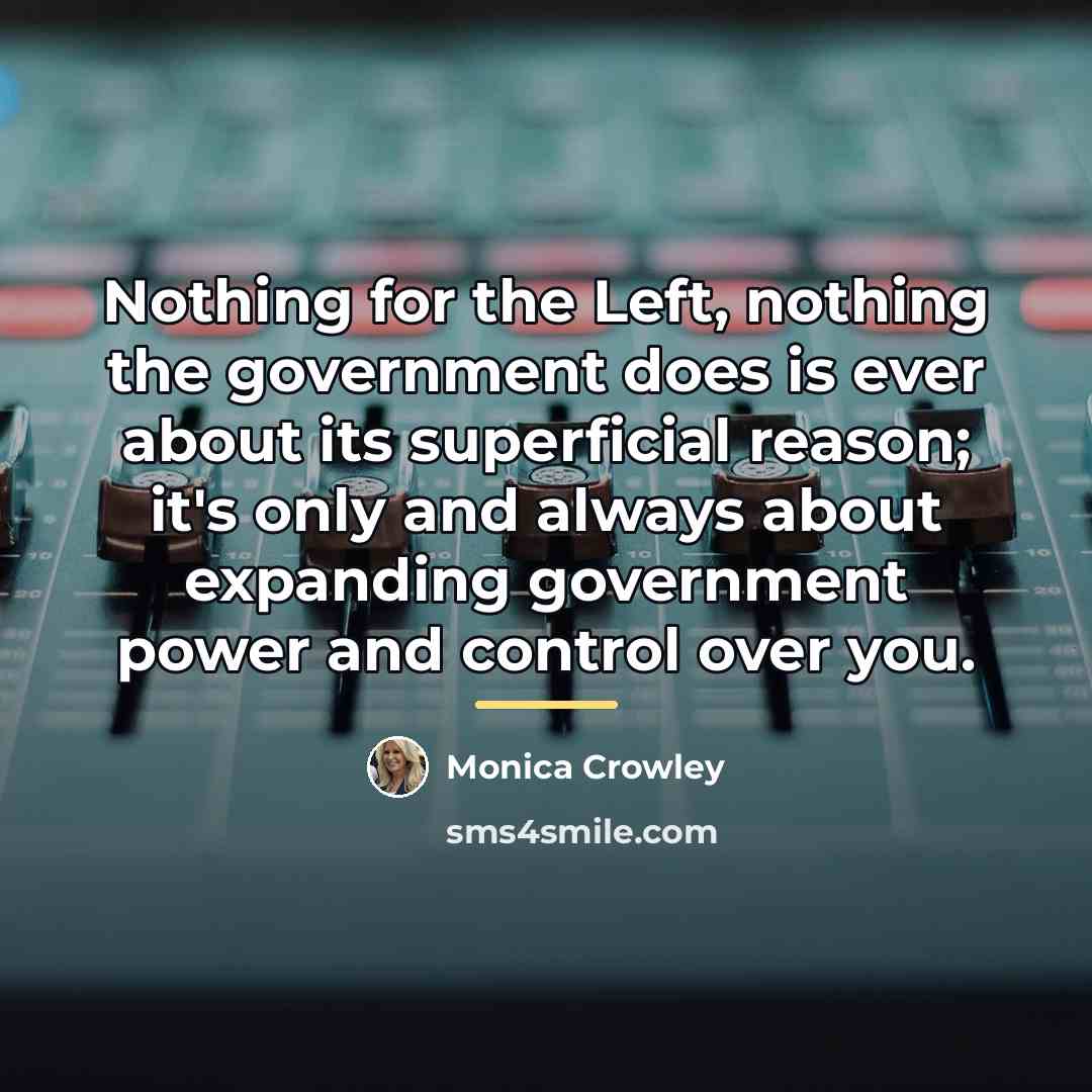 “Nothing for the Left, nothing the government does is ever…” quote by Monica Crowley