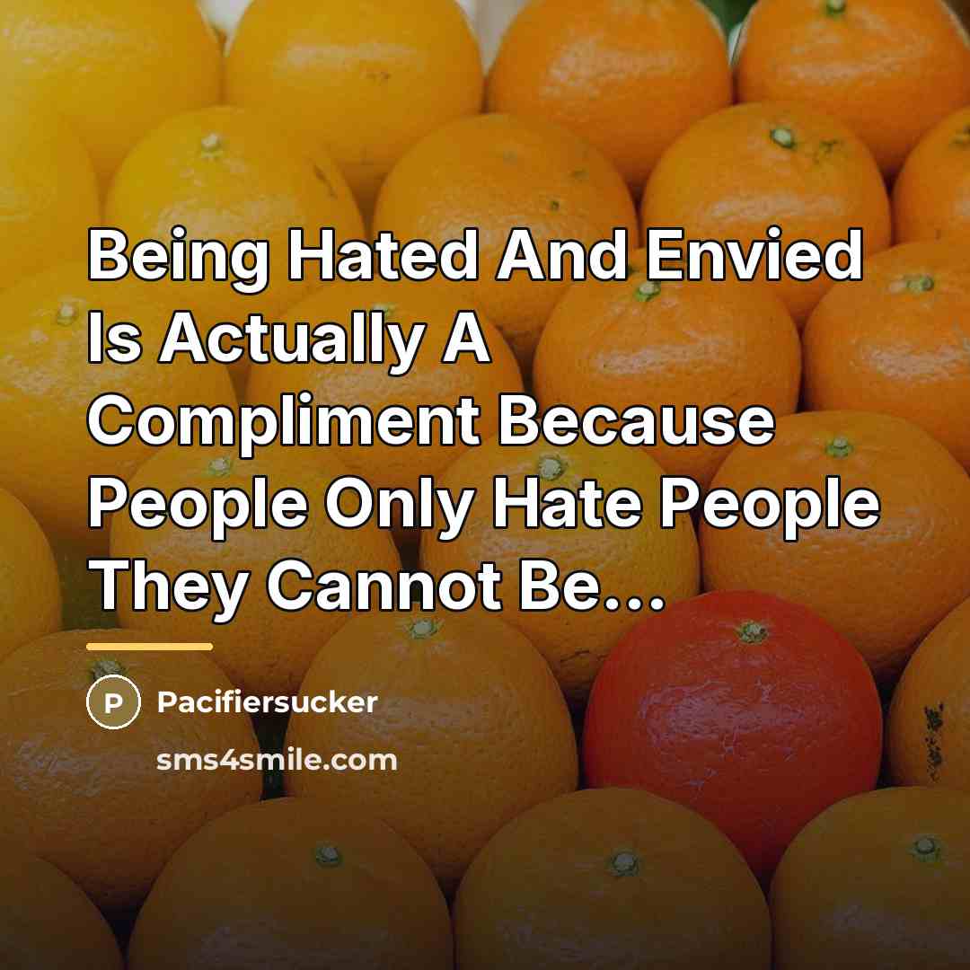 “Being Hated And Envied Is Actually A Compliment Because People…” quote by Pacifiersucker