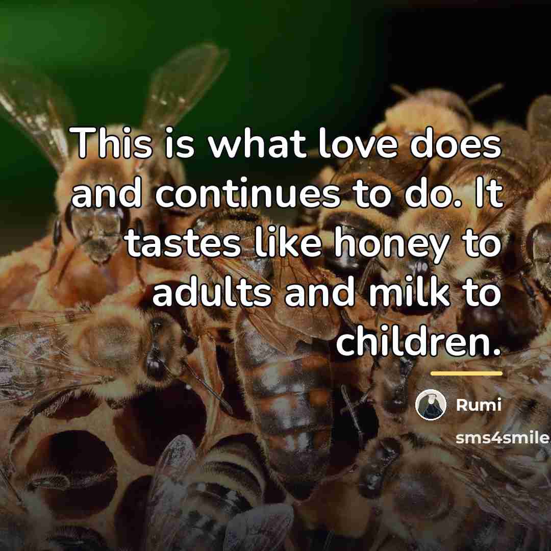 “This is what love does and continues to do. It…” quote by Rumi