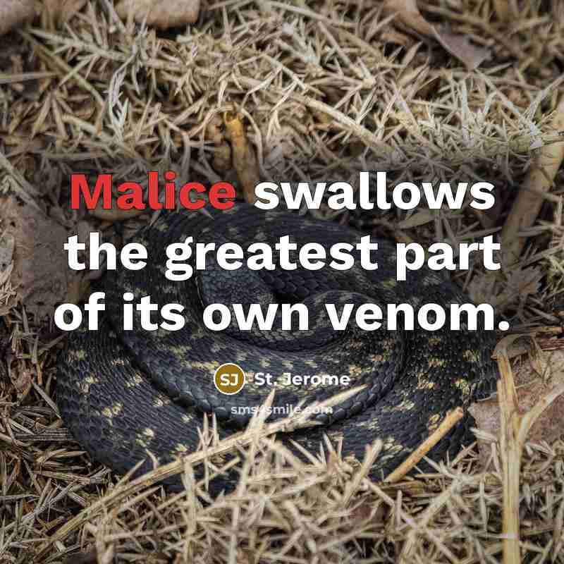 “Malice swallows the greatest part of its own venom.…” quote by St. Jerome