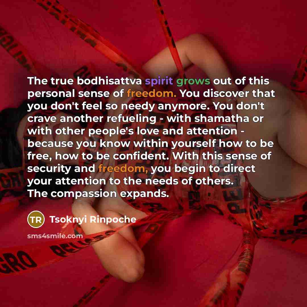 “The true bodhisattva spirit grows out of this personal sense…” quote by Tsoknyi Rinpoche