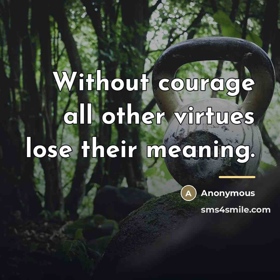 “Without courage all other virtues lose their meaning.…” quote by Anonymous