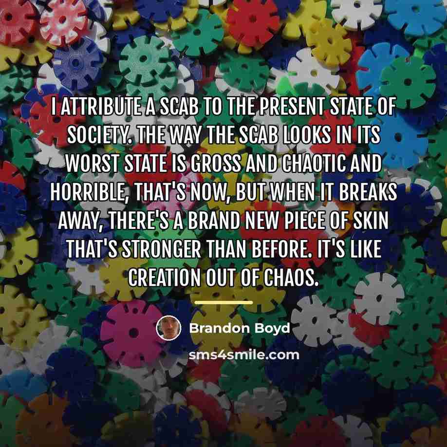 “I attribute a scab to the present state of society.…” quote by Brandon Boyd